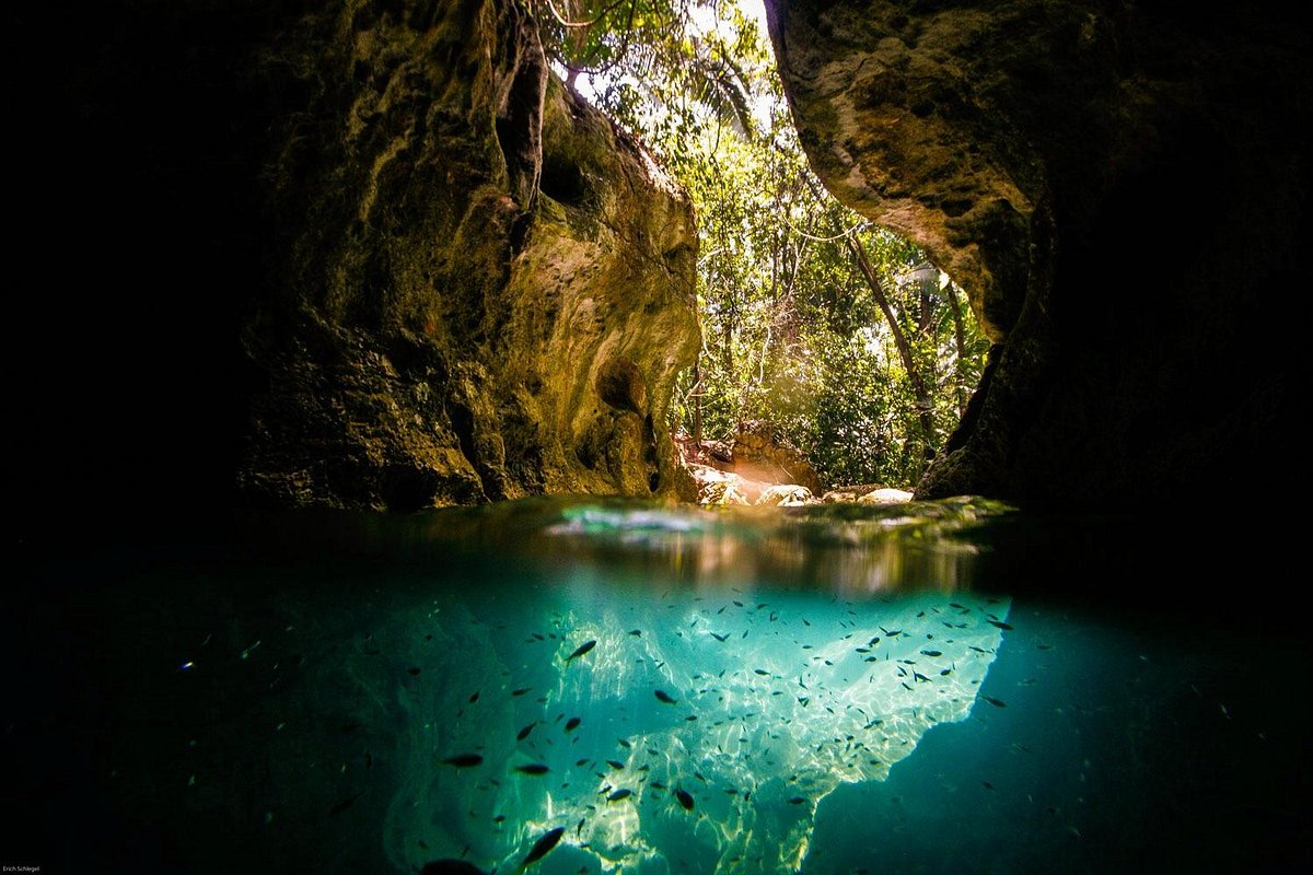 Belize Jungle & Reef - Belize tour