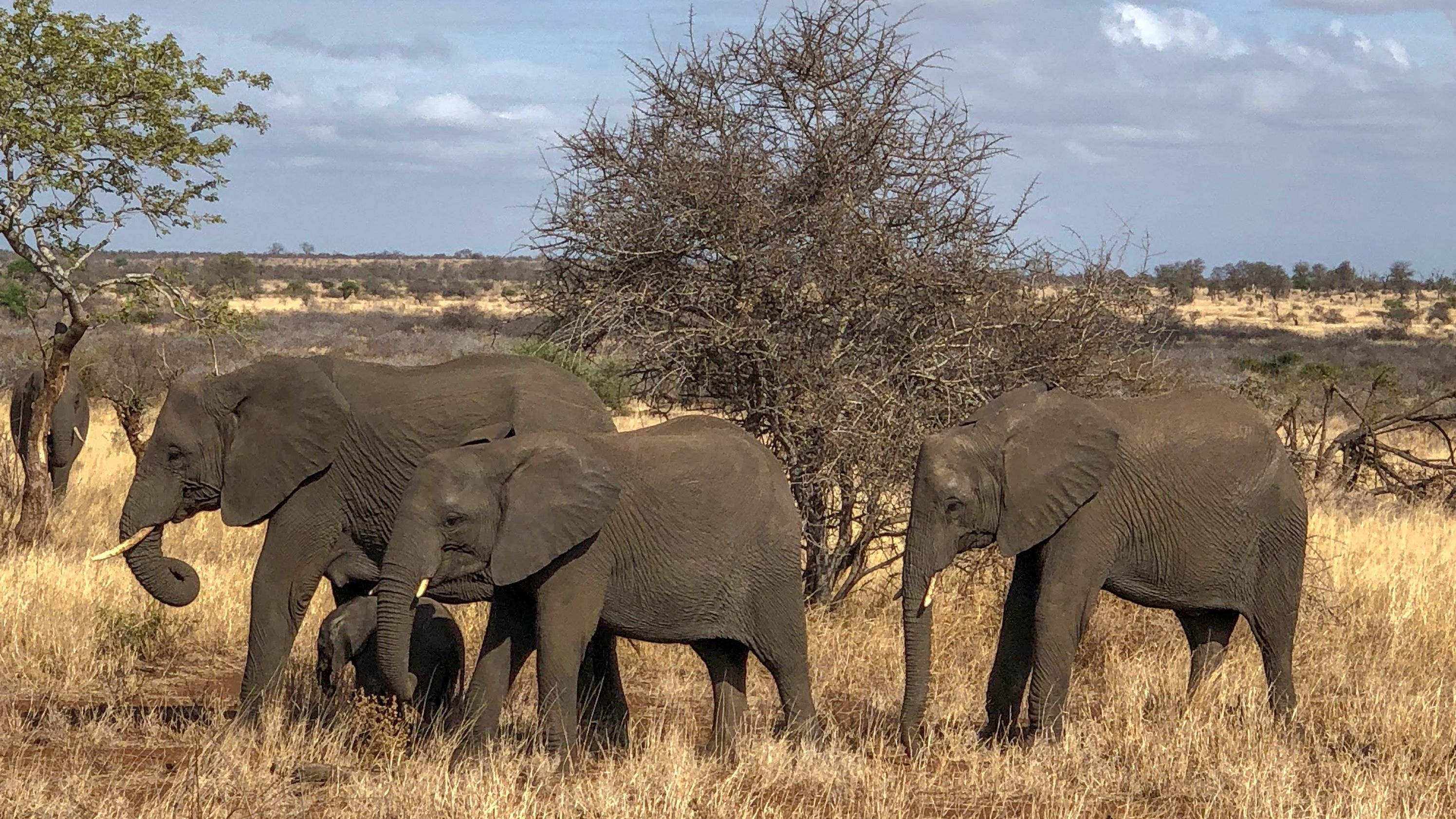 South Africa Adventure - South Africa tour