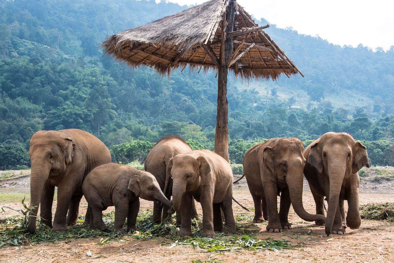 Northern Thailand Explorer - adventure tour in Thailand